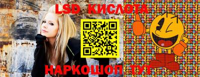 прущие грибы Нягань