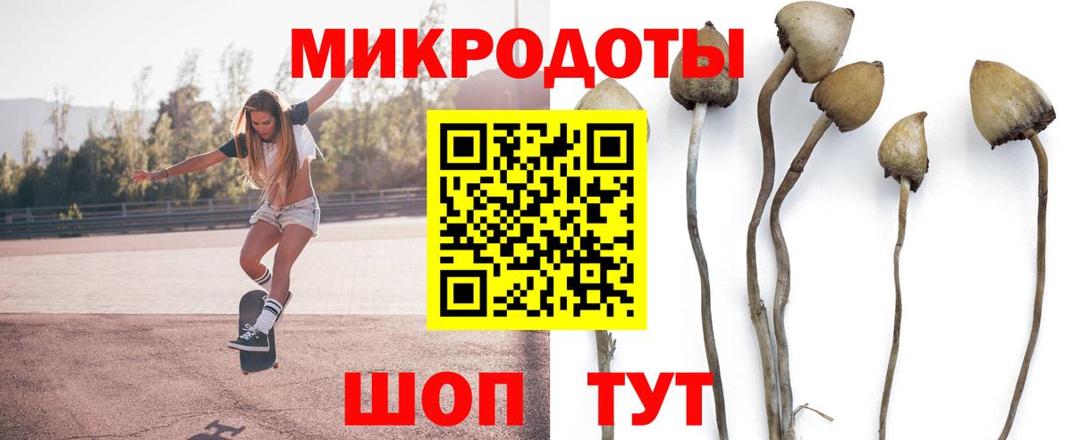 Псилоцибиновые грибы прущие грибы  Вход с VPN  Советская Гавань 